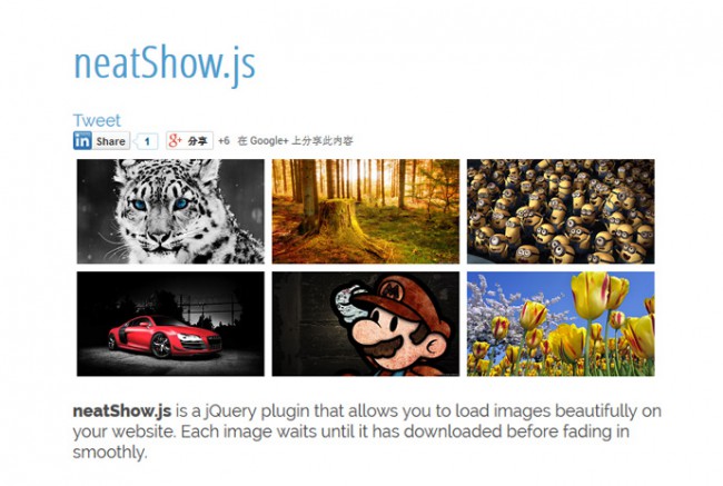 neatshow